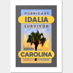 Hurricane Idalia Survivior Posters and Art